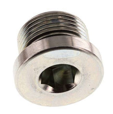 Plug M22 X 1.5 Steel NBR with Internal Hex 400bar (5620.0psi) [2 Pieces]