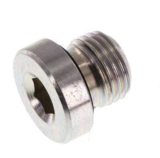 Plug M10 X 1 Steel NBR with Internal Hex 400bar (5620.0psi) [5 Pieces]