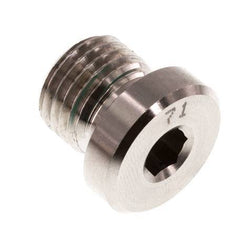 Plug M14 X 1.5 Stainless steel FKM with Internal Hex 400bar (5620.0psi)