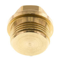 Plug G1'' Brass with Collar and External Hex 16bar (224.8psi)