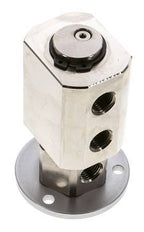 Rotary Joint G1/4'' Female Nickel-plated Brass PUR 12bar (168.60000000000002psi) Compact