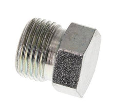 10S Zinc plated Steel Closing Plug for Tubes 630 Bar DIN 2353