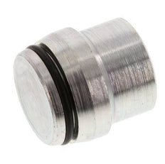 25S Zinc plated Steel Closing Plug for Cutting Ring Fittings 400 Bar DIN 2353 [2 Pieces]