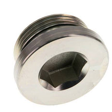 G 1 1/4'' Male Zinc plated Steel Closing plug with Inner Hex and NBR seal 250 Bar