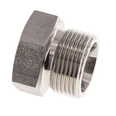 16S Stainless steel Closing Plug for Tubes 400 Bar DIN 2353