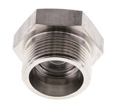 25S Stainless steel Closing Plug for Tubes 400 Bar DIN 2353