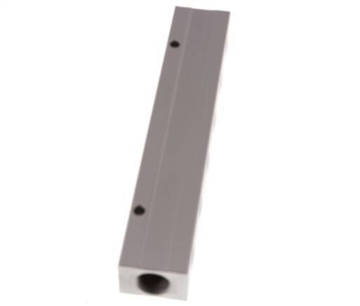 2xG 1/2'' x 12xG 1/4'' Aluminium Distributor Block Double-sided 16 Bar