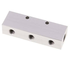 2xG 1/4'' x 3xG 1/8'' Aluminium Distributor Block One-sided 16 Bar
