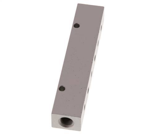 2xG 1/8'' x 12xM5 Aluminium Distributor Block Double-sided 16 Bar