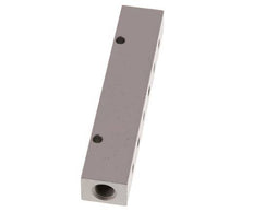 2xG 1/8'' x 12xM5 Aluminium Distributor Block Double-sided 16 Bar
