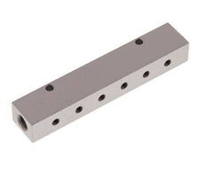 2xG 1/8'' x 12xM5 Aluminium Distributor Block Double-sided 16 Bar