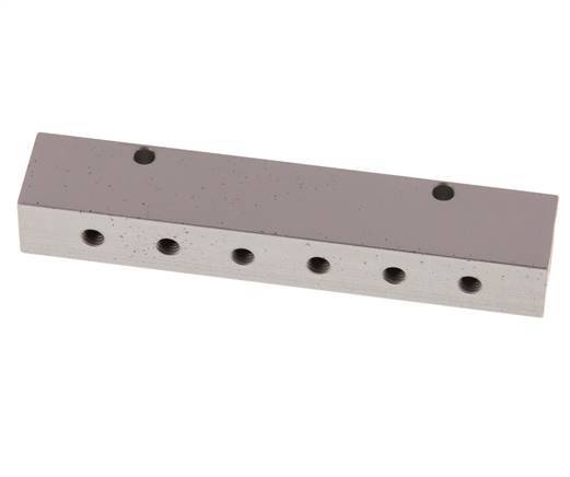 2xG 1/8'' x 12xM5 Aluminium Distributor Block Double-sided 16 Bar