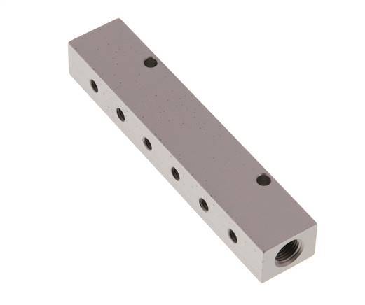 2xG 1/8'' x 12xM5 Aluminium Distributor Block Double-sided 16 Bar