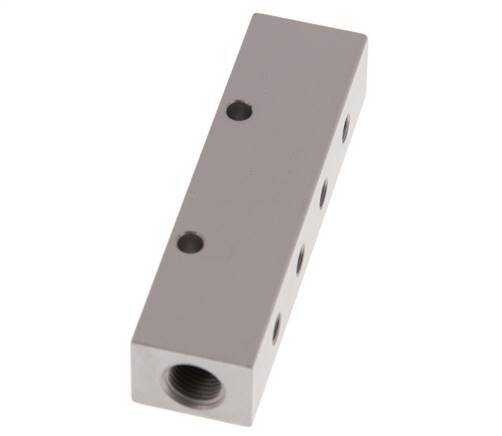2xG 1/8'' x 8xM5 Aluminium Distributor Block Double-sided 16 Bar