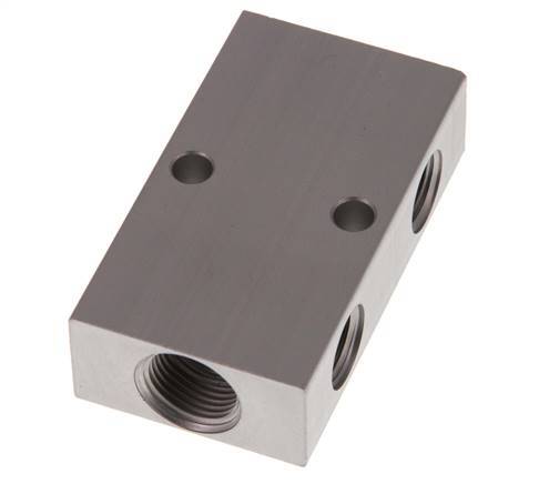 2xG 3/8'' x 2xG 1/4'' Aluminium Distributor Block One-sided 16 Bar