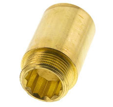 G 1'' F/M Brass Extension DIN 3523 - 50 mm