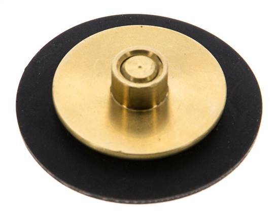 Replacement Diaphragm G1/4'' Water Pressure Reducers S-48RD