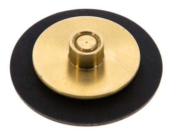 Replacement Diaphragm G1/4'' Water Pressure Reducers S-48RD
