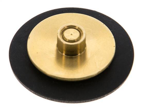 Replacement Diaphragm G1/4'' Water Pressure Reducers S-48RD