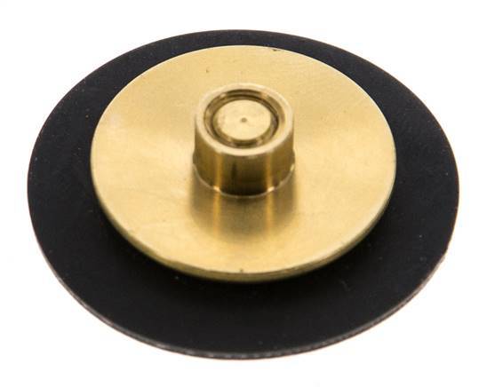 Replacement Diaphragm G1/4'' Water Pressure Reducers S-48RD