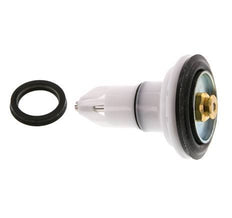 Valve Replacement Kit R 1-1/2'' and R 2'' Braukmann