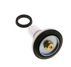 Valve Replacement Kit R 1-1/2'' and R 2'' Braukmann