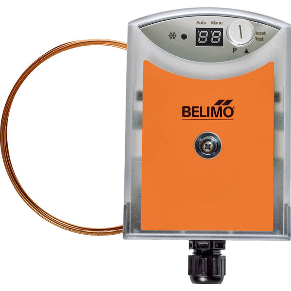 Belimo Frost Monitor Active 6m 0-15°C/32-59°F 20DTS-1P5