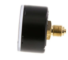 0..0.6 Bar (0..9 psi) Pressure Gauge Rear Steel/Brass 50 mm Class 1.6