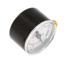 0..6 Bar (0..87 psi) Pressure Gauge Below Steel/Brass 40 mm Class 1.6