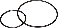 O-Ring for Futura 4 [20 Pieces]