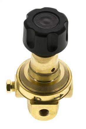 Pressure Regulator G1/4'' 490 l/min 2.0-30.0bar/29-435psi Brass