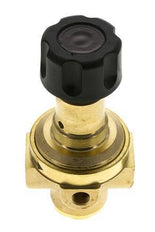 Pressure Regulator G1/4'' 490 l/min 2.0-30.0bar/29-435psi Brass