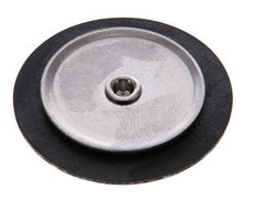 Replacement Diaphragm Gases and Liquids FKM 1/4''