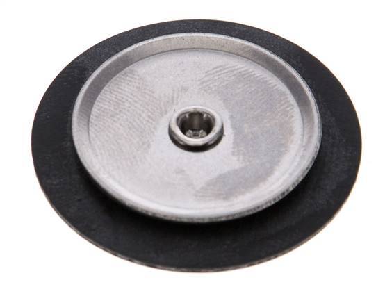 Replacement Diaphragm Gases and Liquids FKM 1/4''