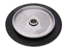 Replacement Diaphragm Gases and Liquids FKM 1/4''