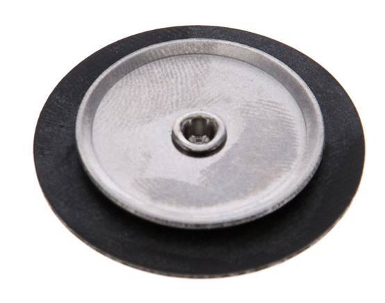Replacement Diaphragm Gases and Liquids FKM 1/4''