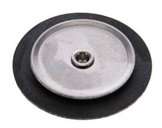 Replacement Diaphragm Gases and Liquids FKM 1/4''