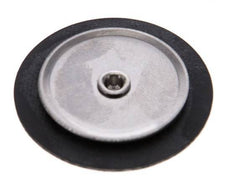 Replacement Diaphragm Gases and Liquids FKM 1/4''