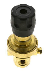 Pressure Regulator G1/4'' 490 l/min 2.0-30.0bar/29-435psi Brass CO2