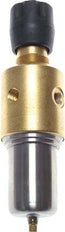 Filter-Regulator G1/4'' 800 l/min 0.2-3.0bar/3-44psi Manual Brass/Stainless Steel