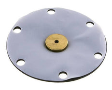 Replacement Diaphragm PTFE/NBR 1'' Brass