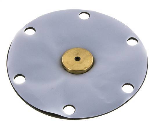 Replacement Diaphragm PTFE/NBR 1'' Brass