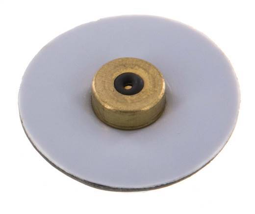 Replacement Diaphragm Pressure Regulator PTFE/NBR 1/4'' Brass