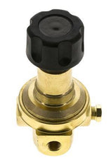 Pressure Regulator G1/4'' 490 l/min 2.0-30.0bar/29-435psi Brass Gases Liquids