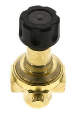 Pressure Regulator G1/4'' 490 l/min 2.0-30.0bar/29-435psi Brass Gases Liquids