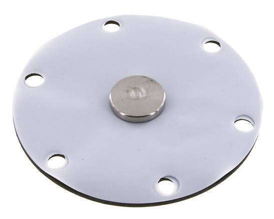 Replacement Diaphragm Gases and Liquids PTFE/NBR 1'' Stainless Steel