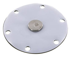 Replacement Diaphragm Gases and Liquids PTFE/NBR 1'' Stainless Steel