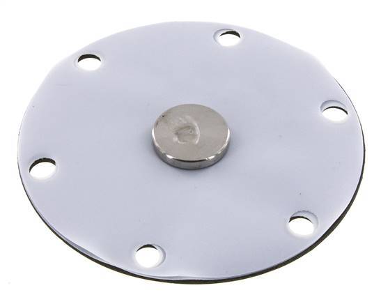 Replacement Diaphragm Gases and Liquids PTFE/NBR 1'' Stainless Steel