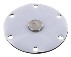 Replacement Diaphragm Gases and Liquids PTFE/NBR 1'' Stainless Steel