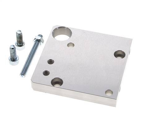 Limit Stop Disc Limit-stop for 50 mm Rodless Cylinders | Tameson.com